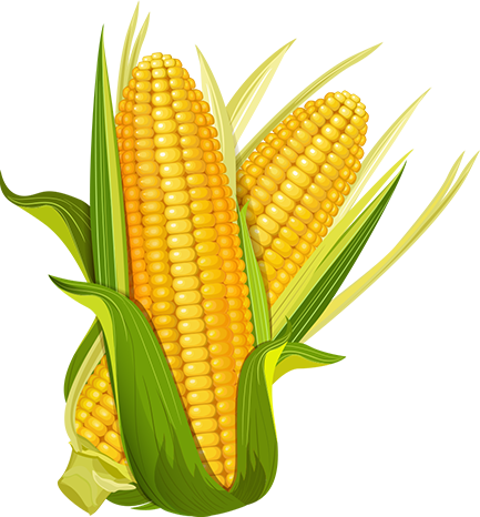 Modern Farming Technology